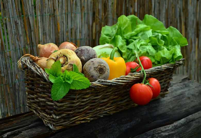 Vegetables-Beneficial