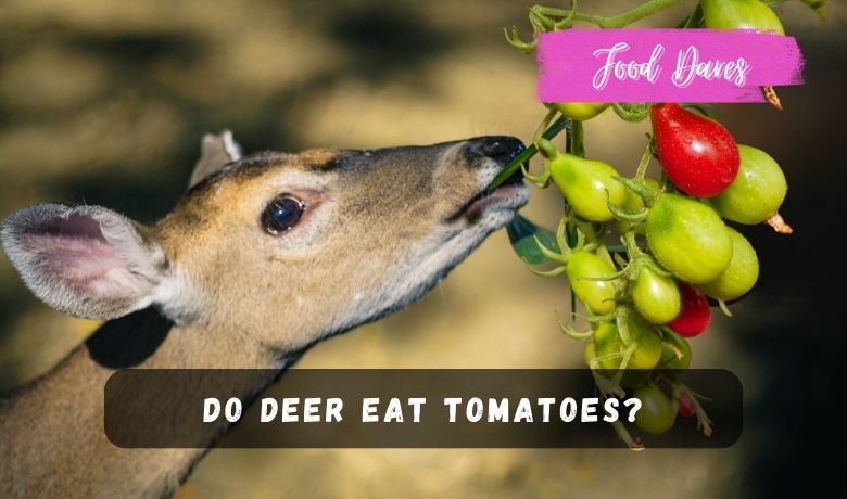Do deer eat tomatoes